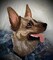 German Shephard, Dog, Pets, Animals, Embroidered, Iron-on Patch